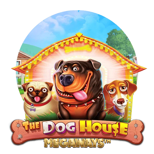 Dog House Megaways sur Casino1